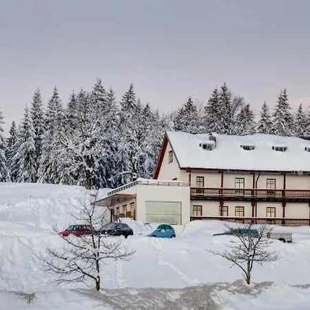 Alpenhotel Boedele - Luxus 13 Apartment Hergatz